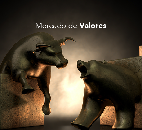 Canal Bank Mercado de Valores