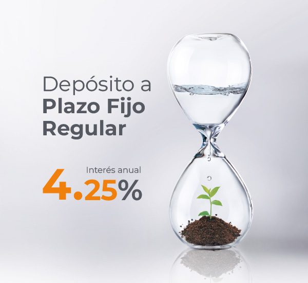 banner-plazofijoreg4.25-600×550 Canalbank Plazo Fijo Regular